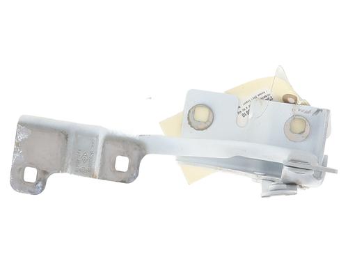 Used Hinge/Door check strap RENAULT SCENIC E-TECH PHASE I EV87 (218 hp) 28162562