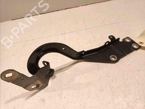 Hinge/Door check strap RENAULT ESPACE V (JR_)  | BP20606000C146 