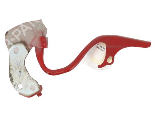 Hinge/Door check strap FIAT 500 (312_) 1.3 D Multijet (312AXE1A) | BP24167607C146