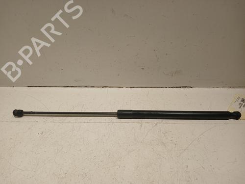 Tailgate lift support FORD KUGA I 2.0 TDCi 1729322
