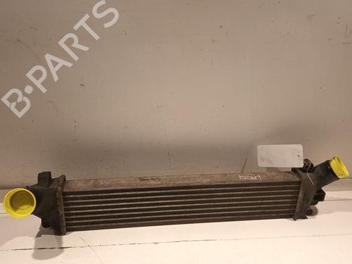 Used Intercooler Intercooler RENAULT KANGOO Express (FC0/1_) 1.5 dCi (FC1E) (68 hp) 36035503 36035503