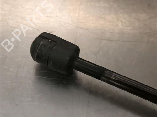 Tailgate lift support FORD FOCUS II (DA_, HCP, DP) 1.6 TDCi | BP14868369C138 