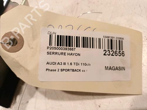 Tailgate lock AUDI A3 Sportback (8VA, 8VF) 1.6 TDI | BP18058214C101 