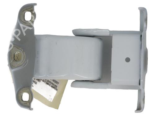 Hinge/Door check strap RENAULT TRAFIC III Van (FG_)  | BP27729872C146 