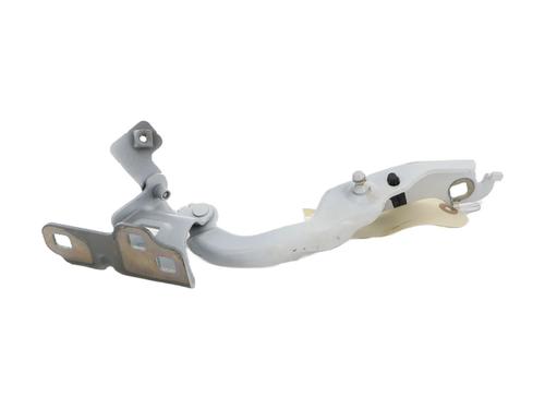 Hinge/Door check strap RENAULT TRAFIC III Van (FG_)  | BP27587024C146 