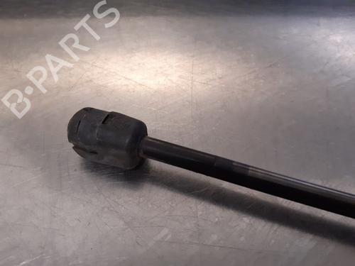 Tailgate lift support RENAULT MEGANE III Grandtour (KZ0/1) 1.5 dCi (KZ0C, KZ1A) | BP16039870C138