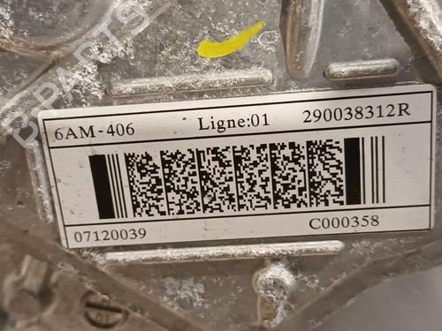 Engine RENAULT SCENIC E-TECH PHASE I EV87 | BP31988308M1 