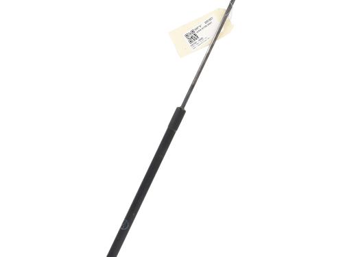 Tailgate lift support FORD C-MAX II (DXA/CB7, DXA/CEU) 1.6 TDCi | BP21499628C138 