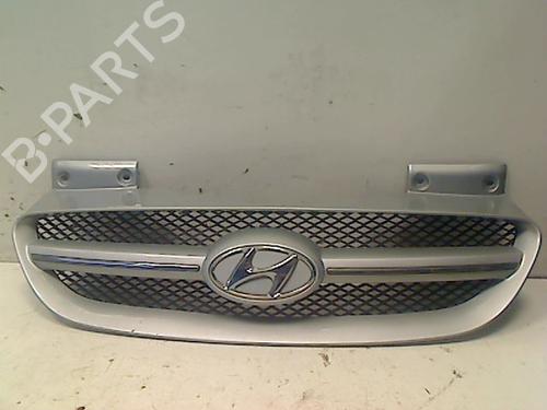 Front grille HYUNDAI GETZ (TB) 1.5 CRDi GLS (110 hp) 15741165