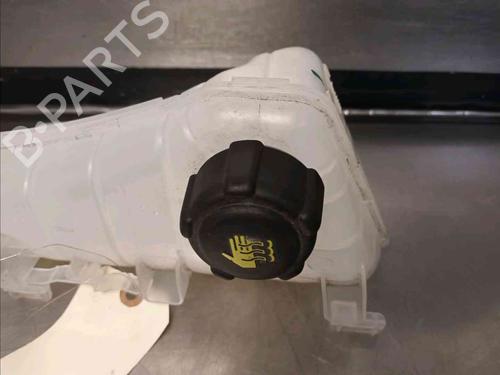 Expansion tank RENAULT KANGOO Express (FW0/1_)  | BP21139092C120 
