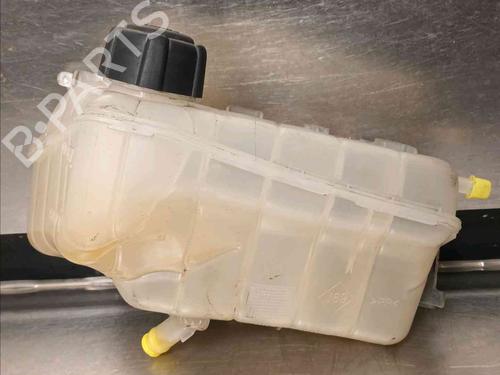 Expansion tank RENAULT KANGOO Express (FW0/1_) 1.5 dCi 70 (FW0A, KW0V) | BP21139103C120 