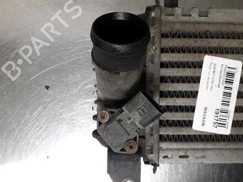Intercooler AUDI A2 (8Z0) 1.4 TDI | BP14858639M30 