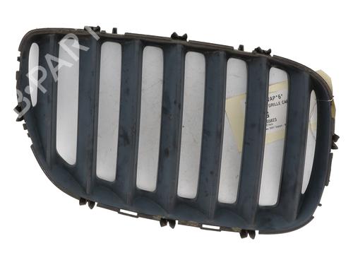Used Grille BMW X5 (E53) 3.0 d (218 hp) 25044084
