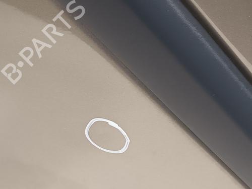 Left rear door RENAULT CLIO III (BR0/1, CR0/1) 1.5 dCi (C/BR0G, C/BR1G) | BP20608251C4 