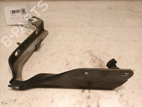 Used Hinge/Door check strap CITROËN C3 I (FC_, FN_) 1.4 HDi (68 hp) 16159073