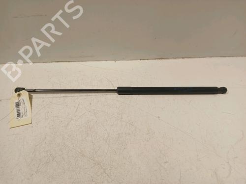 Used Tailgate lift support FORD KUGA I 2.0 TDCi (136 hp) 18124025
