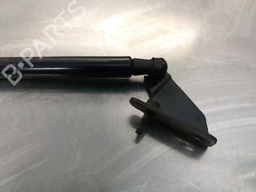 Tailgate lift support NISSAN QASHQAI I (J10, NJ10) 1.6 dCi | BP14868174C138 