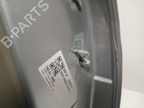 Left rear door RENAULT CLIO III (BR0/1, CR0/1) 1.5 dCi (BR17, CR17) | BP23882289C4 