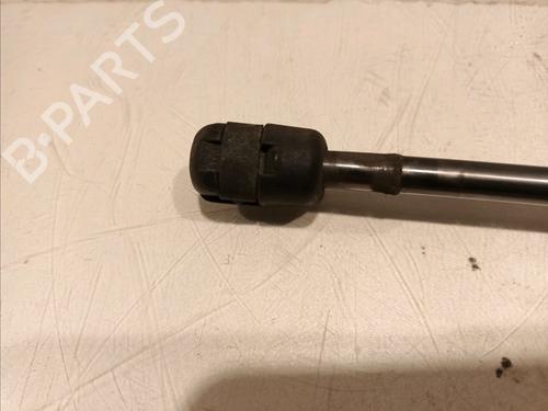 Tailgate lift support MERCEDES-BENZ B-CLASS Sports Tourer (W246, W242) B 160 CDI / d (246.211) | BP16979421C138 