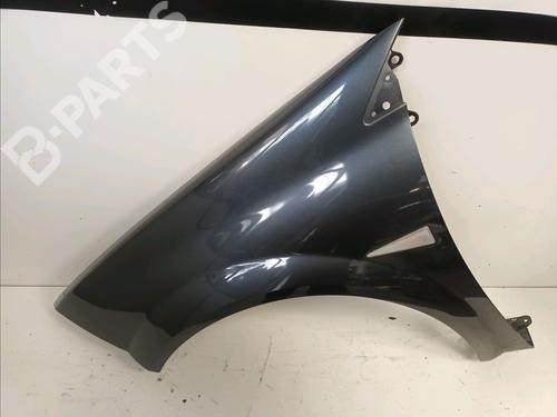 Used Left front fenders RENAULT MEGANE II (BM0/1_, CM0/1_) 1.5 dCi (BM1F, CM1F) (86 hp) 10052525