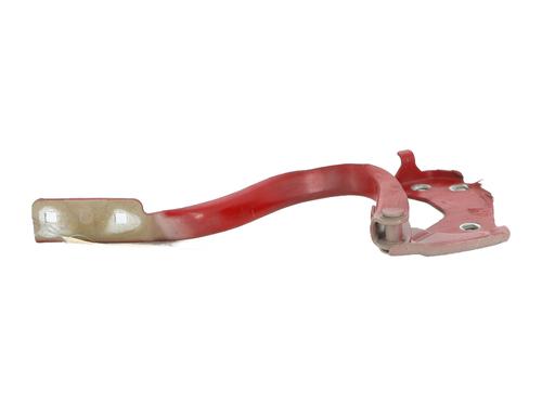 Hinge/Door check strap FIAT 500 (312_) 1.3 D Multijet (312AXE1A) | BP24167608C146