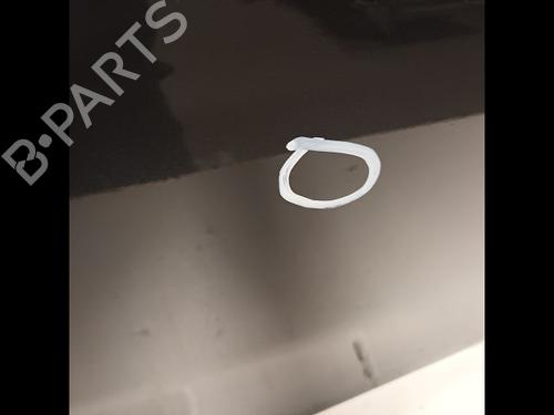 Left rear door BMW 5 (F10) 525 d | BP21605086C4 