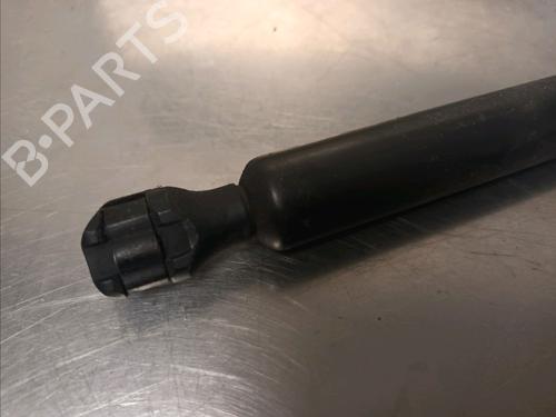 Tailgate lift support LANCIA PHEDRA (179_) 2.0 D Multijet (179.AXL1B, 179.BXL1B) | BP14868393C138 