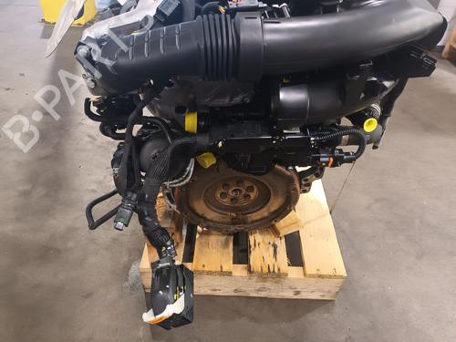 Engine OPEL COMBO Box Body/MPV (K9) 1.6 D | BP39733433M1 - Image 10