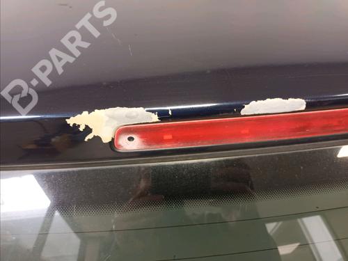 Bakluke CC/Kombi-Kupé OPEL SIGNUM Hatchback (Z03) 1.9 CDTI (F48) | BP9341552C6 