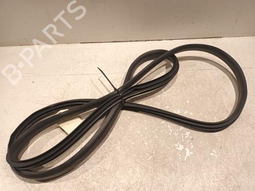 Used Rubber door seal RENAULT ARKANA I (LCM_, LDN_) 1.6 E-TECH 145 (LDMU) (143 hp) 21801941