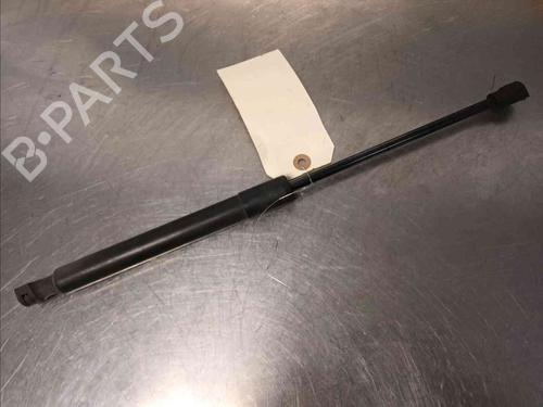 Amortiguador capot MERCEDES-BENZ CITAN Box Body/MPV (W415) [2012-2021]  21605212