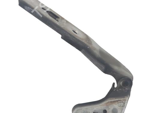 Used Hinge/Door check strap AUDI A6 C6 (4F2) 2.0 TDI (140 hp) 16313565