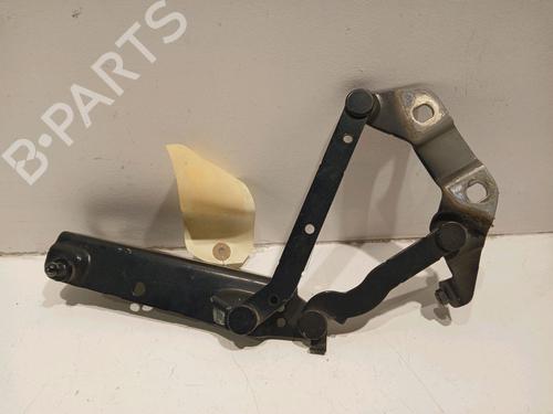Hinge/Door check strap LAND ROVER RANGE ROVER EVOQUE (L538) 2.2 D 4x4 | BP17775945C146 