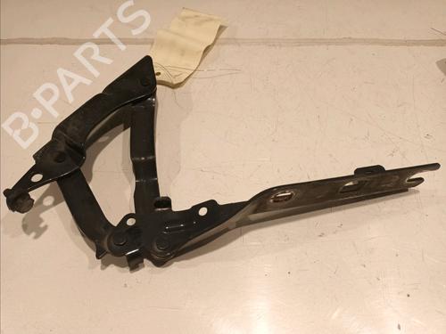 Hinge/Door check strap VW GOLF VI (5K1) 1.6 TDI | BP16313562C146 