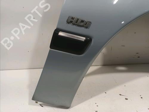 Right front fenders PEUGEOT 406 (8B) 2.0 HDI 110 | BP17452578C42 