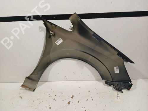 Left front fenders OPEL ZAFIRA / ZAFIRA FAMILY B (A05) 1.7 CDTI (M75) | BP20606456C41 