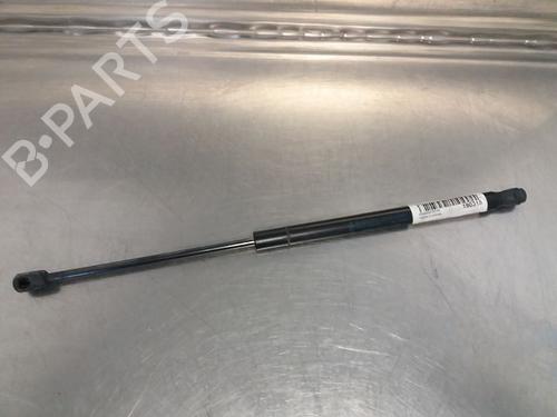 Used Tailgate lift support FORD FOCUS II (DA_, HCP, DP) 1.6 TDCi (90 hp) 14868213