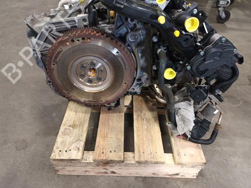 Engine RENAULT TWINGO III (BCM_, BCA_) 0.9 TCe 90 (BCM9, BCM2) | BP36552598M1 - Image 7