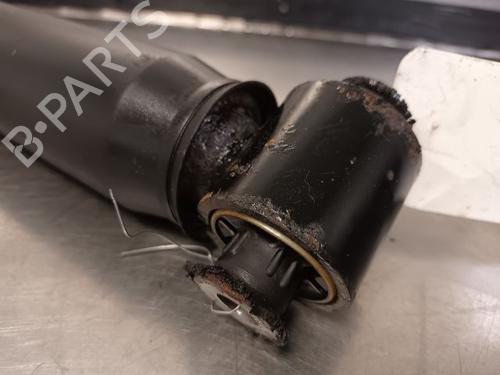 Right rear shock absorber RENAULT SCÉNIC III (JZ0/1_) 1.6 16V (JZ0U, JZ1B) | BP20601648M19 