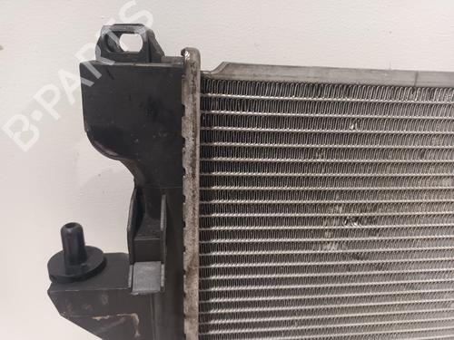 Køler PEUGEOT BOXER Platform/Chassis 2.2 HDi 110 | BP32312851M31