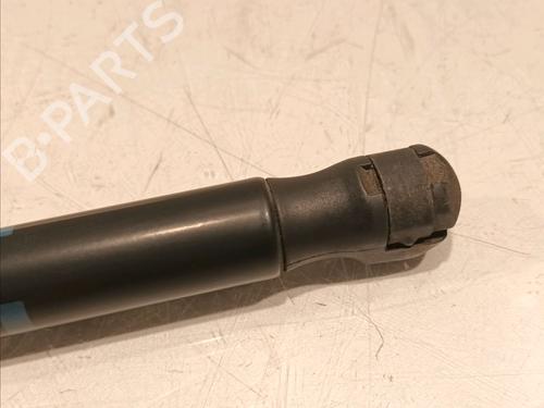 Tailgate lift support AUDI A6 C6 (4F2) 2.0 TDI | BP16313616C138 