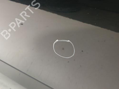 Right front door RENAULT SCÉNIC III (JZ0/1_) 1.5 dCi | BP29554501C3 