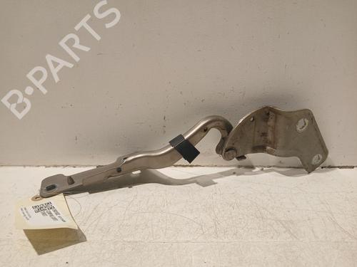 Used Hinge/Door check strap RENAULT CLIO III Grandtour (KR0/1_) 1.5 dCi (75 hp) 23336202