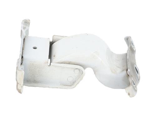 hingedoor-check-strap-renault-trafic-iii-van-fg_-2014-31939266 main image