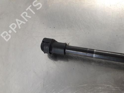 Tailgate lift support PEUGEOT 107 (PM_, PN_) 1.0 | BP14868239C138