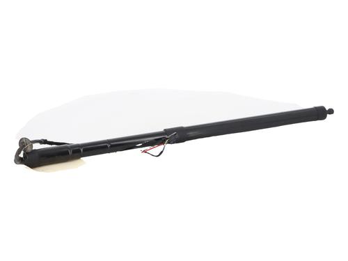 tailgate-lift-support-citroen-c4-grand-picasso-ii-da_-de_-2013-38949632 main image