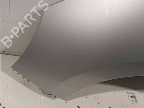 Left front fenders RENAULT SCÉNIC III (JZ0/1_) 1.5 dCi | BP21605363C41 