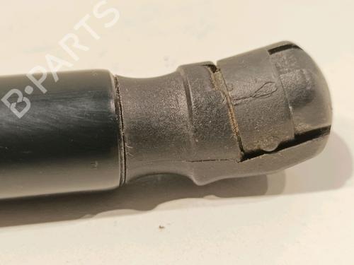 Tailgate lift support RENAULT KADJAR (HA_, HL_) 1.2 TCe 130 (HLMR) | BP15273637C138 