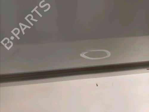 Right front door RENAULT LAGUNA II Grandtour (KG0/1_) 1.9 dCi (KG0G) | BP20603324C3 