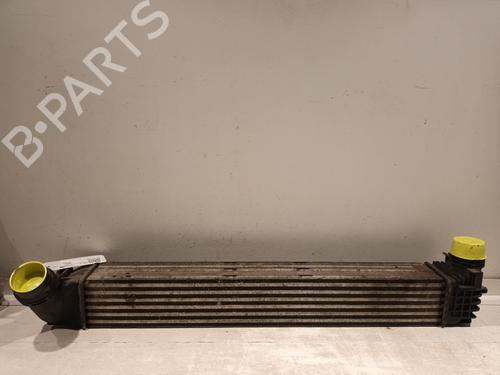 Intercooler RENAULT MEGANE III Hatchback (BZ0/1_, B3_) 1.5 dCi (BZ0C) (90 hp) 29554390